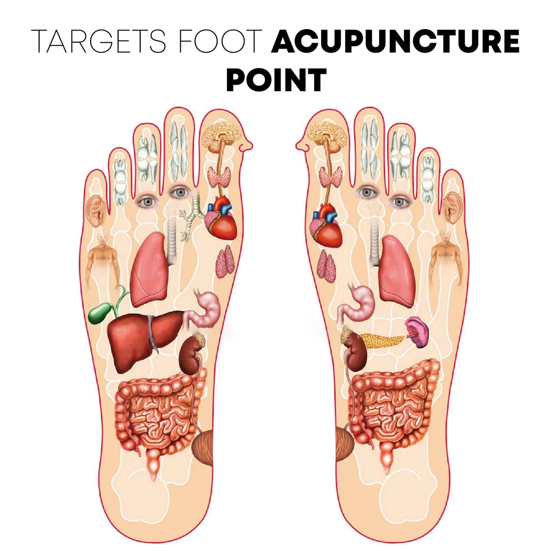 Electric EMS Foot Massager Pad | Foldable Foot Massage Mat | Improve Blood Circulation Relieve Pain Health - Image 4