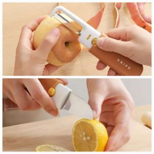 Stainless Steel 2-in-1 Fruit Knife with Peeler | Multipurpose Kitchen Tool for Cutting & Peeling Fruits & Vegetables (Random Color)