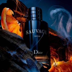 Unisex Bergamot Woody Perfume Black Bottle – Long Lasting Premium Fragrance for Men & Women | Elegant Daily Wear Scent