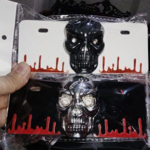 Skull LED Back Number Plate for 70cc & 125cc Bikes â Most Trending Styling Accessory