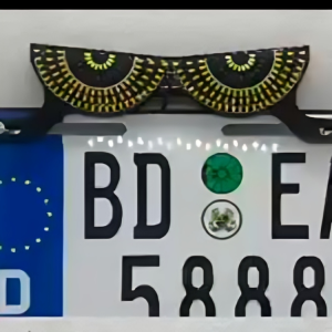 Universal LED Devil Eyes License Plate Light â Custom Decorative RGB Number Plate Frames for Motorcycles & Cars (Multiple Eye Designs)