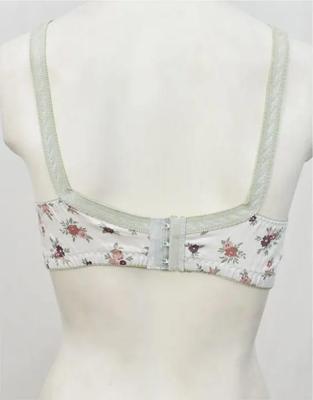 Premium Cotton Printed Bra for Daily Wear Pakistan - Image 5