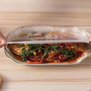 Scoop Disposable 100Pcs Food Cover  Elastic Stretchable Bowl & Plate Covers  Universal Fit Plastic Covers for Kitchen Food Preservation