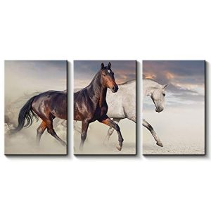 3 Pc Black & White Horse Wall Décor Photo Tiles | Elegant Design | Self?Adhesive Double Tape | Size 8x11