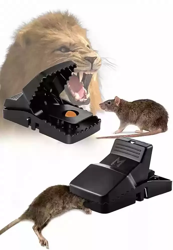 Durable Mouse Trap Reusable Rodent Catcher For Home, Kitchen, And Office Use With Strong Spring Mechanism And Easy Setup - Image 2