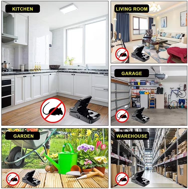 Durable Mouse Trap Reusable Rodent Catcher For Home, Kitchen, And Office Use With Strong Spring Mechanism And Easy Setup - Image 3