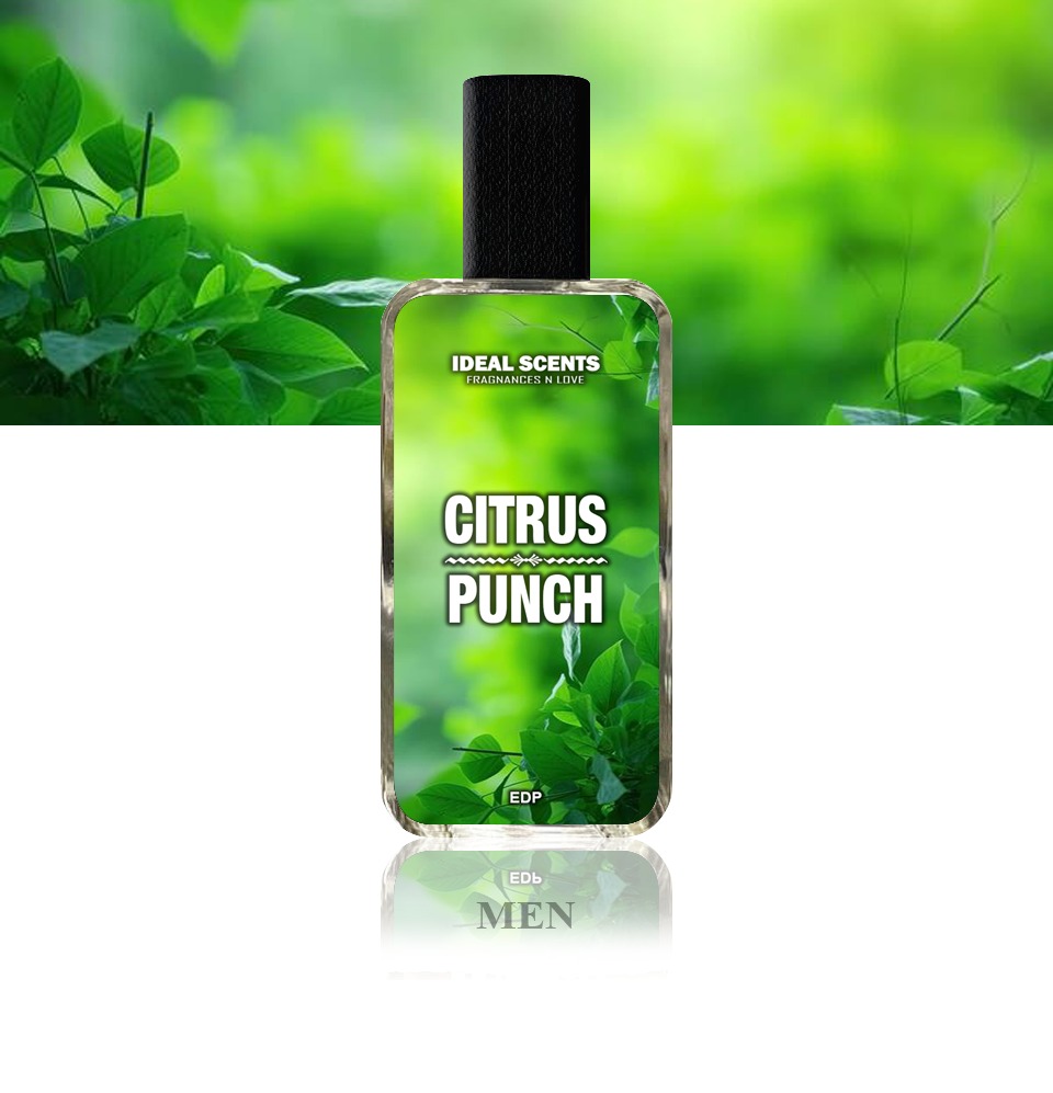 Citrus Punch Fragrance | 50ml | Inspired by Aventus Creed | Long Lasting 810 Hours | Made in Pakistan - Image 3