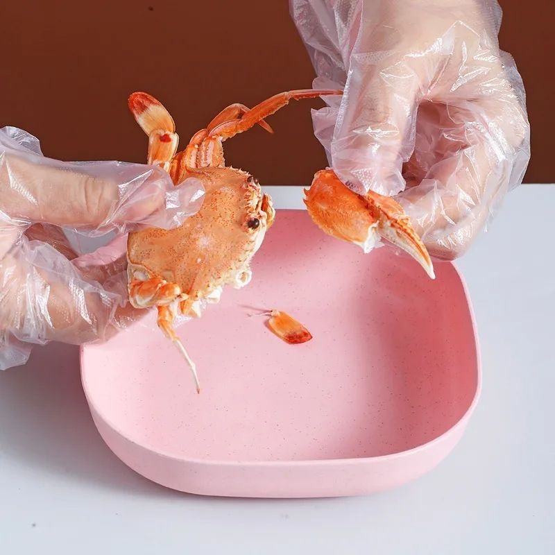 Plate Set Pack of 10 Plastic Split Bone Dish Plates with Holder (Random Colors) - Image 2