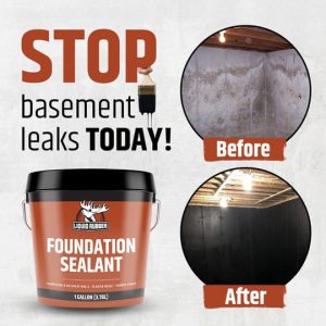 black hydra agent foundation sealant  300g