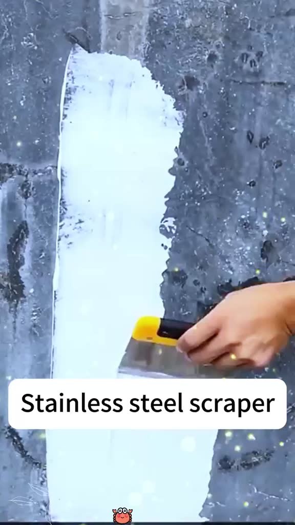 Stainless Steel Scraper with Durable Handle