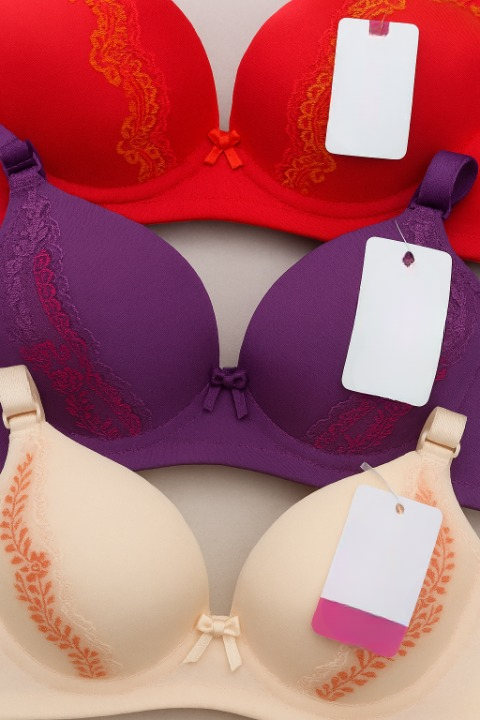 Silk Embroidered Padded Bra for Women Luxury Undergarment with Soft Silk Fabric, Stylish Embroidery, Comfortable Fit & Everyday Support (Random Color) - Image 3