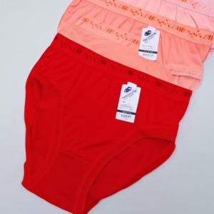 Pack of 3 Women?s Underwear ? Comfortable Lycra Banyan Fabric Panties for Everyday Wear, Available in Sizes S, M, and L ? Soft, Stretchable, and Breathable Innerwear (Random Color)