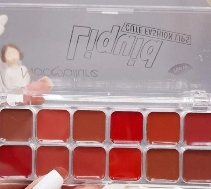 Mocallure Lipstick and Blush palette - Image 3