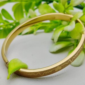 Adjustable Premium Heartbeat-Engraved Adjustable Cartier-Inspired Gold Bracelets | Bracelet For Every Occasion | Elegant Design ?