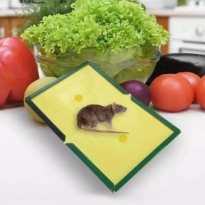 Mouse Glue Trap Strong Adhesive Rat Glue Board & Rodent Catcher Mat ( Pack of 5 )