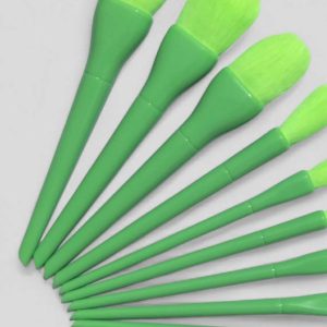 10 Pcs Professional Makeup Brush Set Â Face, Eyes & Lips | Concealer, Blush, Eyeshadow, Highlighter | Orange & Green Colors
