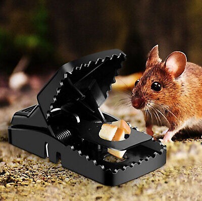 Heavy Duty Reusable Plastic Mouse Trap Durable Safe Effective And Long Lasting Mouse Catcher For Rodent Control - Image 2