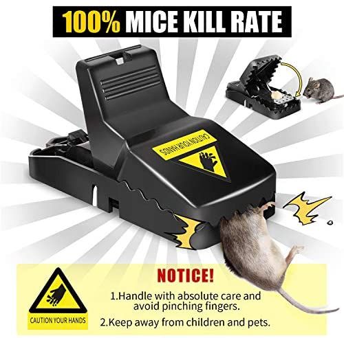 Y.M Traders Big Size Rat Trap – High Quality Plastic Mouse Trap | Reusable, Washable & Strong Spring Mice Catcher for Households