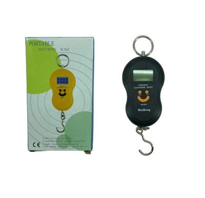 Portable Hanging Fish Scale Stainless Steel Digital Display