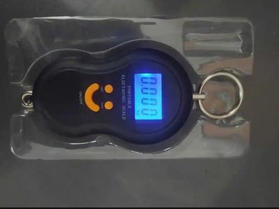 Portable Hanging Fish Scale Stainless Steel Digital Display - Image 2