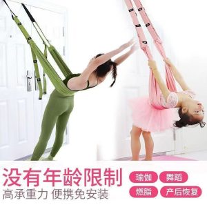 Purple Door Yoga Inversion Belt for Home Use – Stretching & Fitness Support Strap