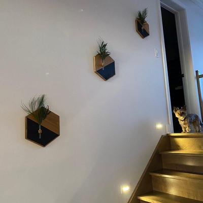 MDF Wood Wall Planters Black Brown – Modern Wall Hanging Home Decor - Image 6